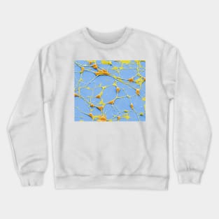 Pluripotent derived neurones, SEM, (C055/8975) Crewneck Sweatshirt